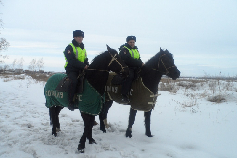 В Красноярском крае улицы посёлков патрулируют полицейские кавалеристы