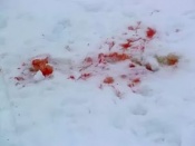 В городе Назарово погиб посетитель кафе