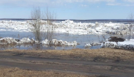 Новокаргино Красноярский