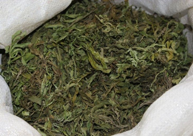 На юге Красноярского края мужчина пытался продать 6 кг марихуаны