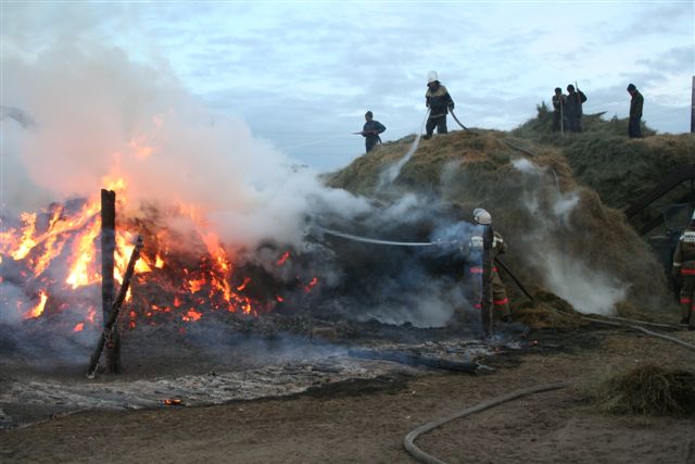 В Красноярском крае в 2 пожарах сгорело более 300 тонн сена