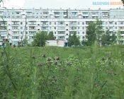В Назарово Красноярского края может начаться строительство многоэтажки, если не вмешается местный застройщик