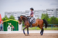 В Красноярске пройдёт Кубок главы города по конному спорту
