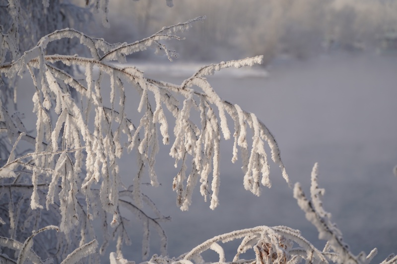 Красноярск накрыли 30-градусные морозы