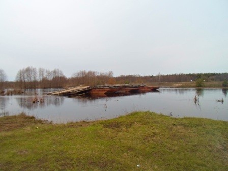 В Красноярском крае в реке, где погибла рыба, обнаружили высокую концентрацию меди