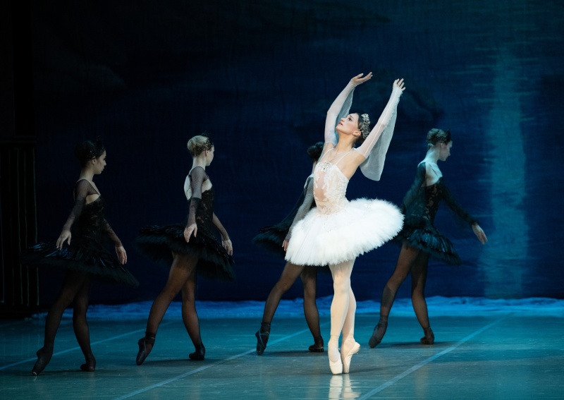 Елена Свинко признана «Звездой балета»