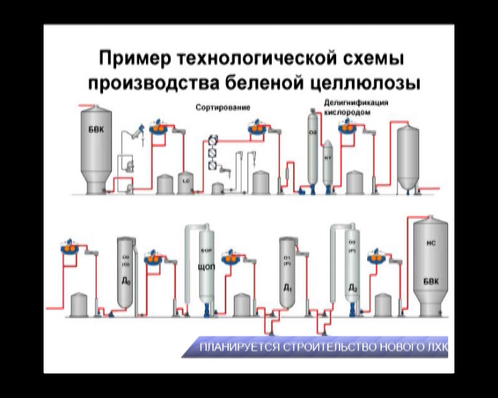 Производство целлюлозы схема