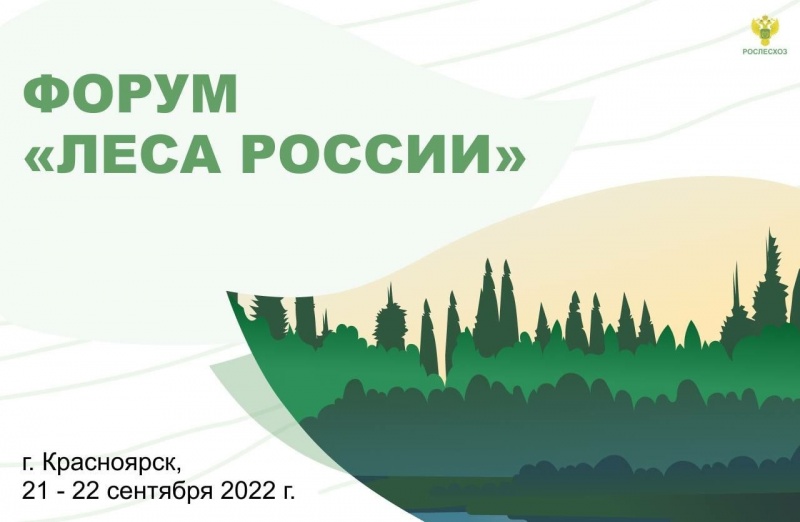 В Красноярске пройдет международный форум «Леса России» 