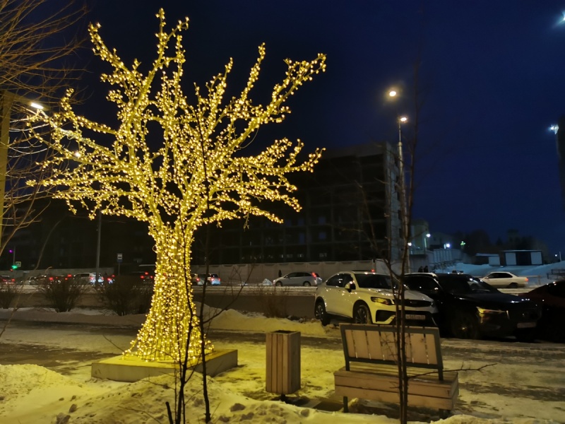 В Красноярске начинают устанавливать световые деревья
