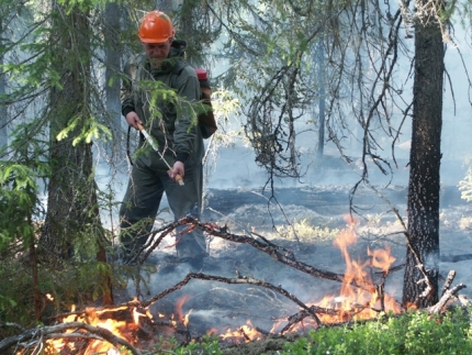 В Красноярском крае добровольцы сельсовета предотвратили пожар