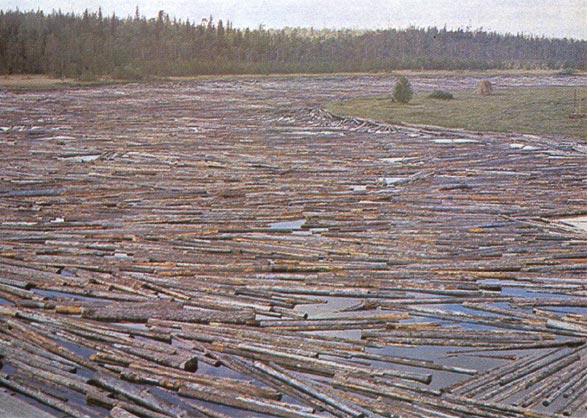 По Ангаре пошли первые плоты из круглого леса, заготовленного учреждениями ГУФСИН России по Красноярскому краю