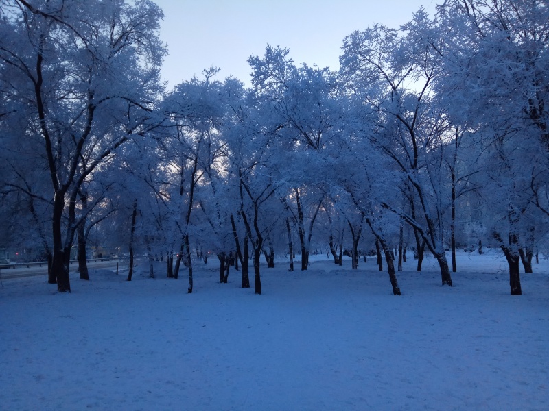 В Красноярск снова пришло похолодание