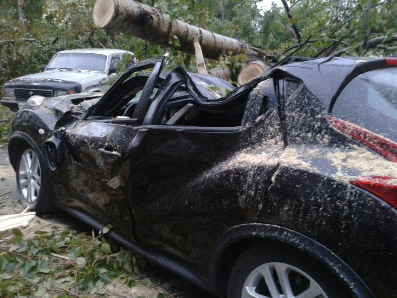 Накануне в Красноярске сильный ветер повалил деревья прямо на автомобили