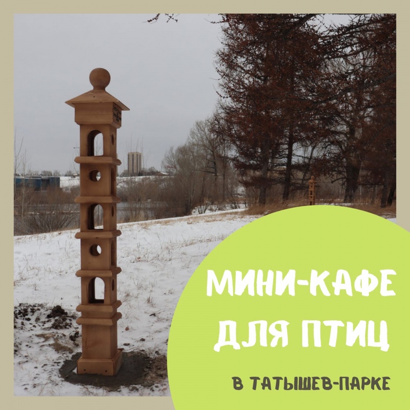 В Татышев-парке появилось кафе для птиц
