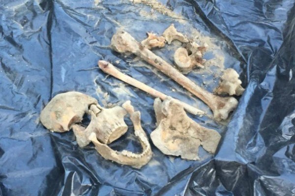 Найденные человеческие кости в Красноярске не имеют криминального происхождения